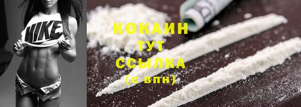 PSILOCYBIN Санкт-Петербург