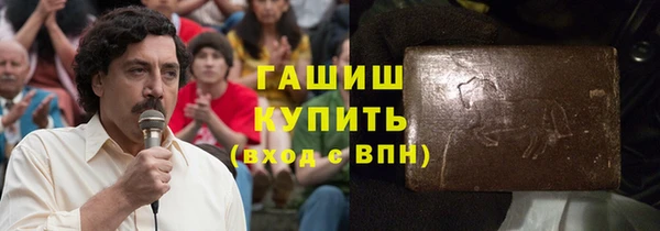гашик Ессентукская