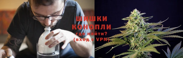 PSILOCYBIN Санкт-Петербург