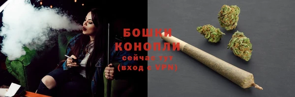 гашик Ессентукская