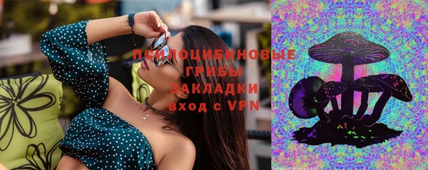 PSILOCYBIN Санкт-Петербург