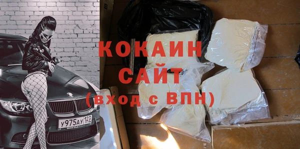 гашик Ессентукская