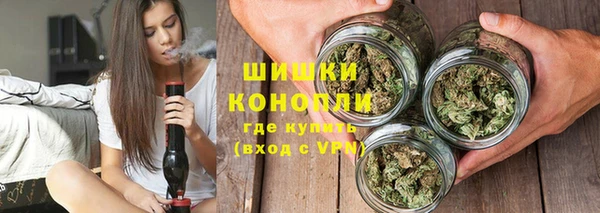 гашик Ессентукская
