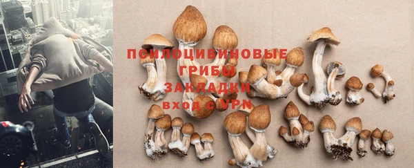 таблы Новосибирск