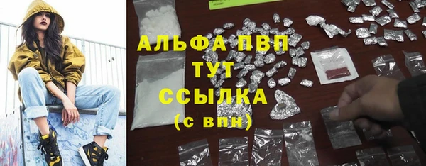 PSILOCYBIN Санкт-Петербург