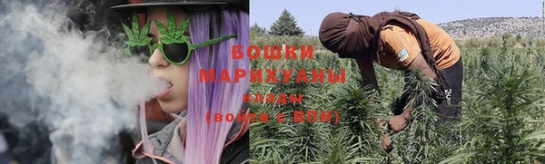 PSILOCYBIN Санкт-Петербург