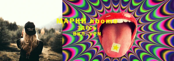 гашик Ессентукская