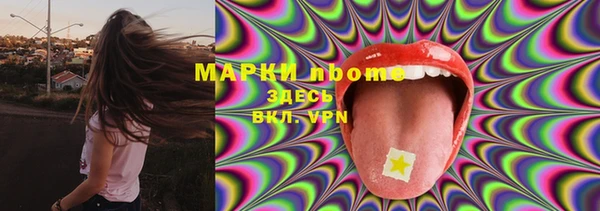 PSILOCYBIN Санкт-Петербург