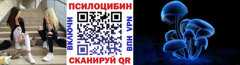 Псилоцибиновые грибы прущие грибы  где купить наркоту  Барнаул 
