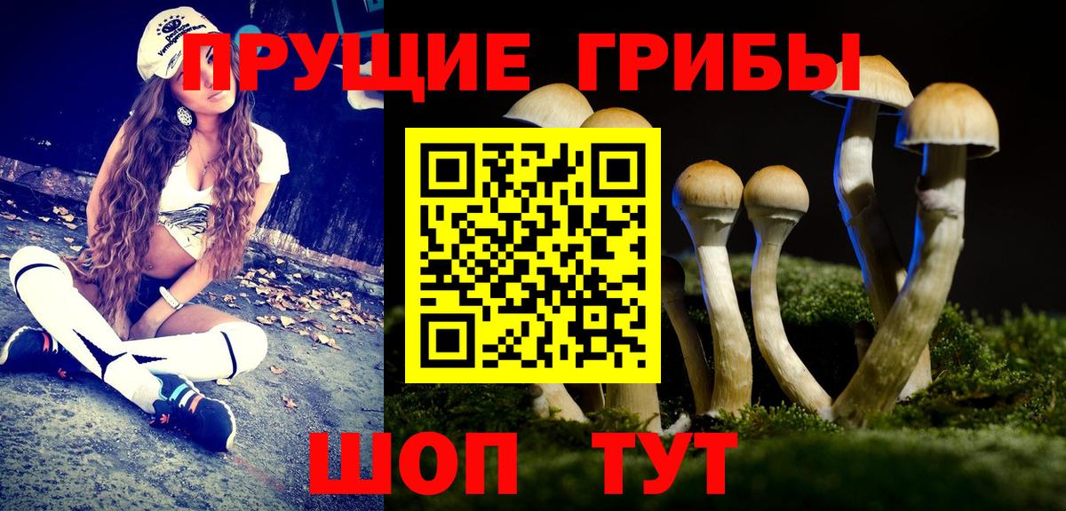 Россия  Псилоцибиновые грибы Magic Shrooms  Вход с VPN 