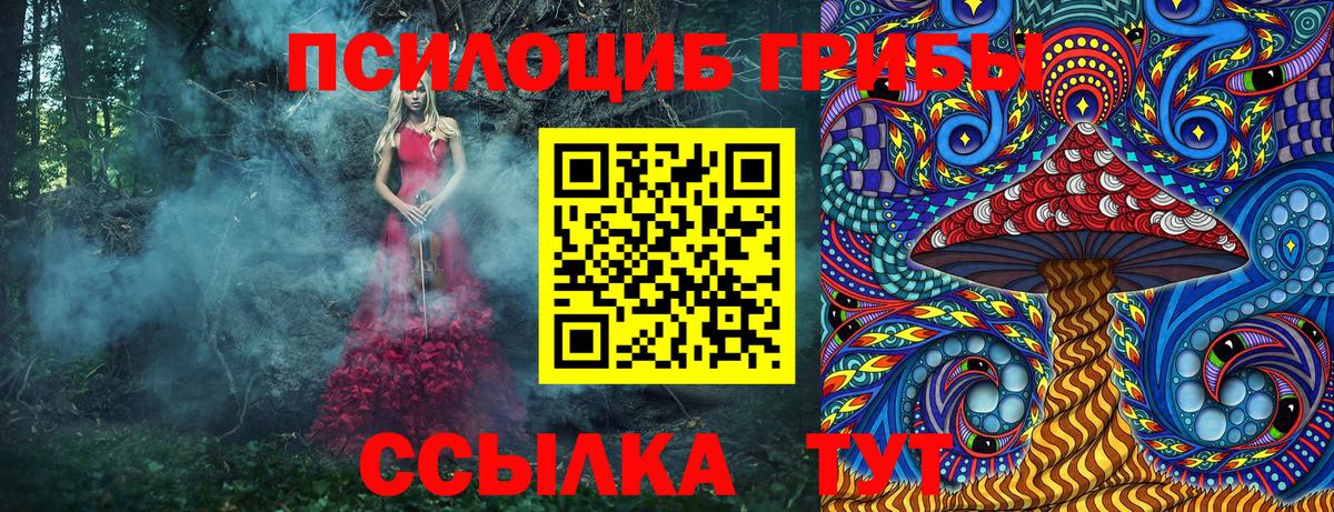 Галлюциногенные грибы GOLDEN TEACHER Россия